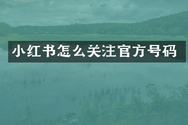 小红书怎么关注官方号码