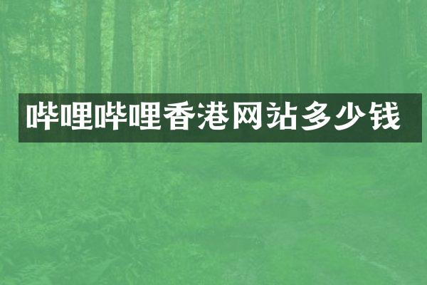 哔哩哔哩香港网站多少钱