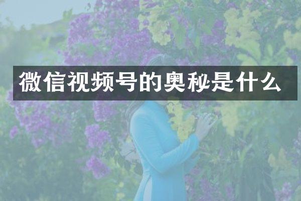 微信视频号的奥秘是什么