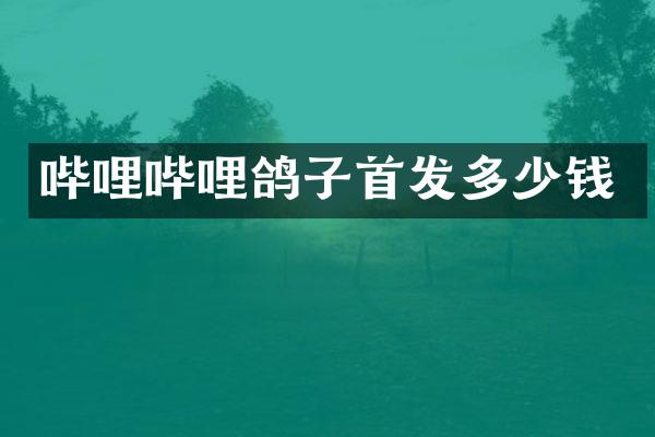 哔哩哔哩鸽子首发多少钱