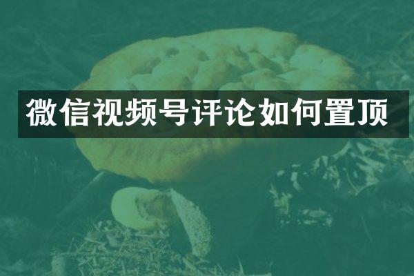 微信视频号评论如何置顶