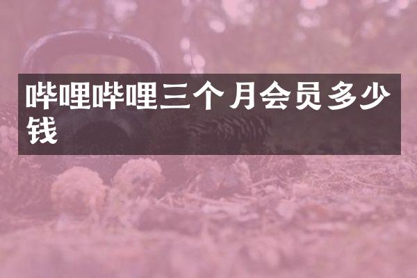 哔哩哔哩三个月会员多少钱