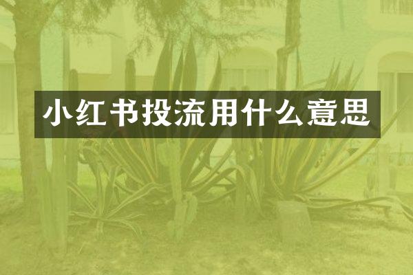 小红书投流用什么意思
