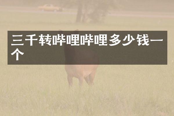 三千转哔哩哔哩多少钱一个