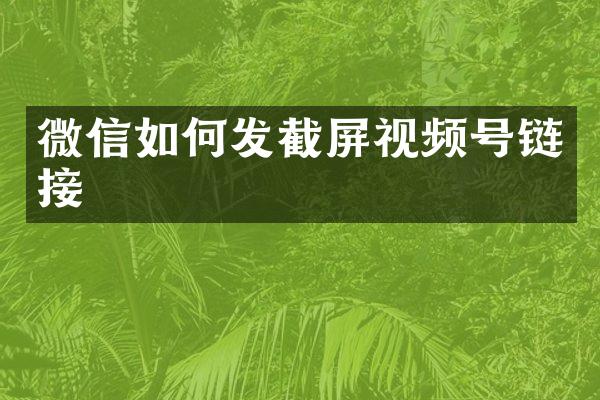 微信如何发截屏视频号链接