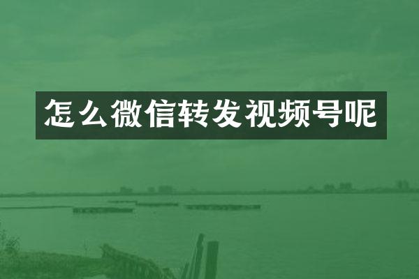 怎么微信转发视频号呢