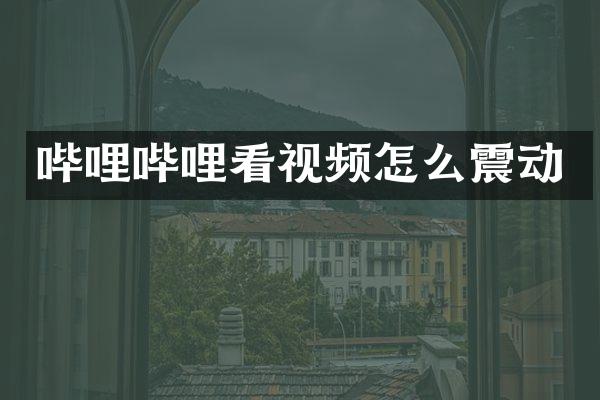 哔哩哔哩看视频怎么震动