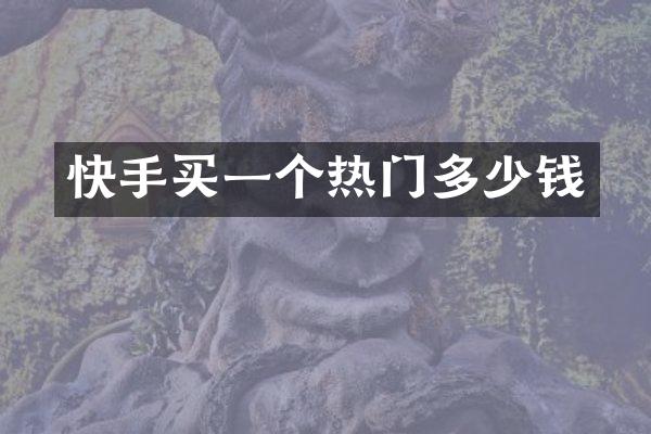 快手买一个热门多少钱