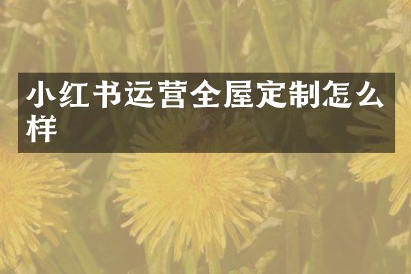小红书运营全屋定制怎么样