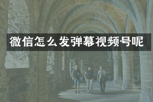 微信怎么发弹幕视频号呢