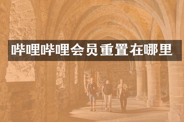 哔哩哔哩会员重置在哪里