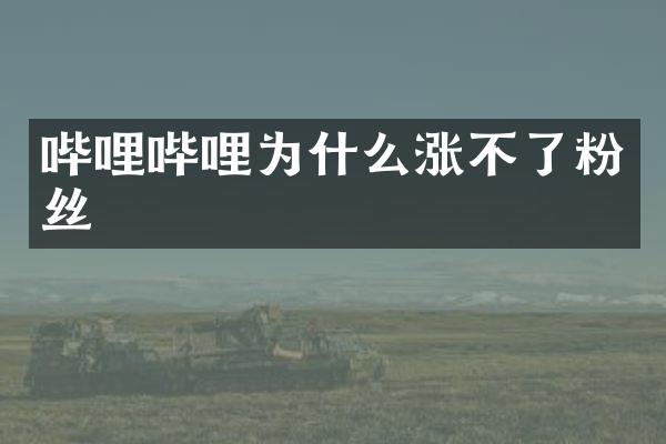 哔哩哔哩为什么涨不了粉丝
