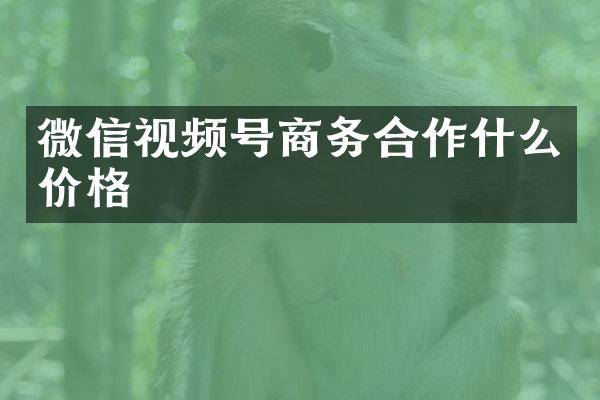 微信视频号商务合作什么价格