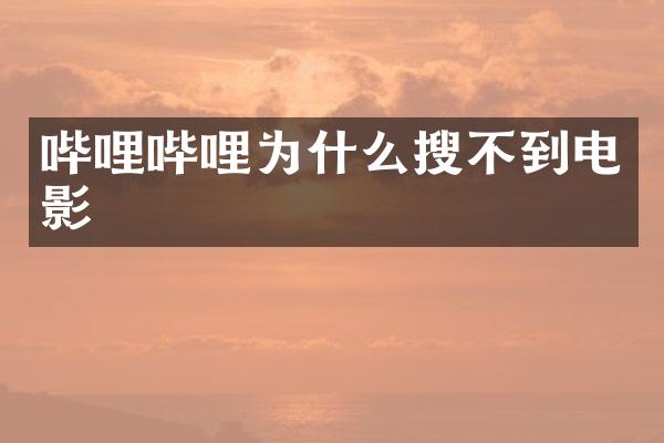 哔哩哔哩为什么搜不到电影