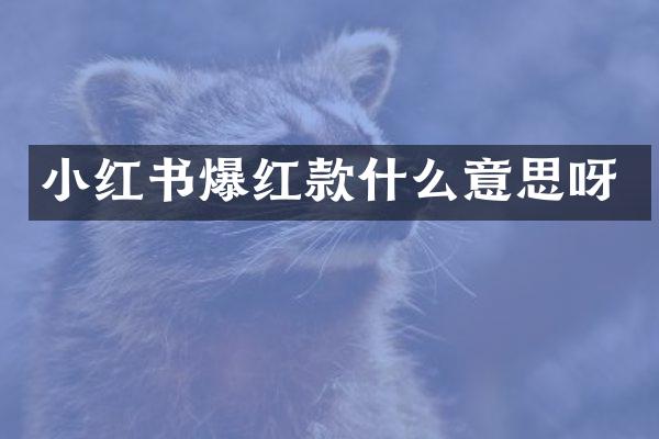 小红书爆红款什么意思呀