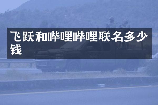 飞跃和哔哩哔哩联名多少钱