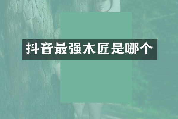 抖音最强木匠是哪个