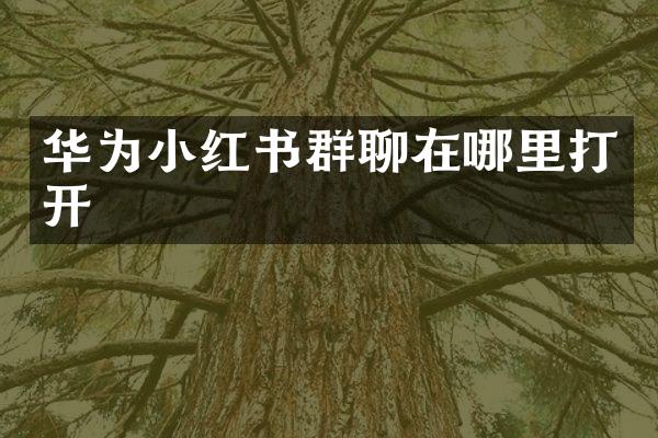 华为小红书群聊在哪里打开