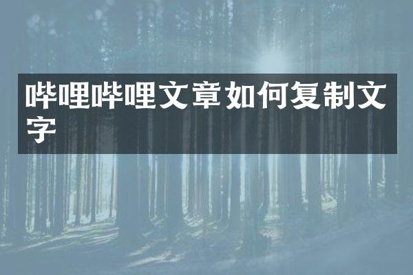 哔哩哔哩文章如何复制文字