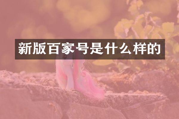 新版百家号是什么样的