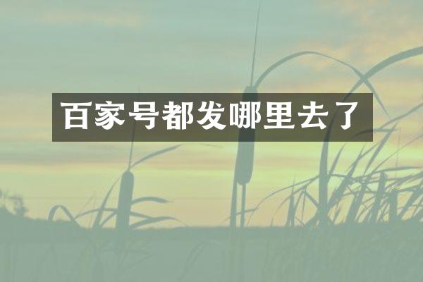 百家号都发哪里去了