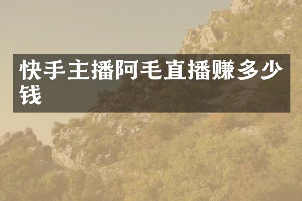 快手主播阿毛直播赚多少钱