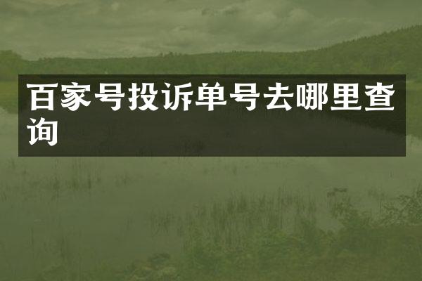 百家号投诉单号去哪里查询
