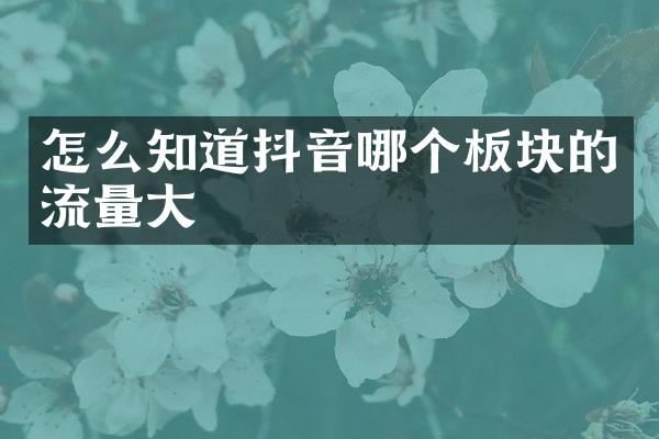 怎么知道抖音哪个板块的流量大