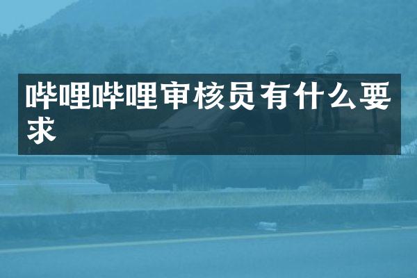 哔哩哔哩审核员有什么要求