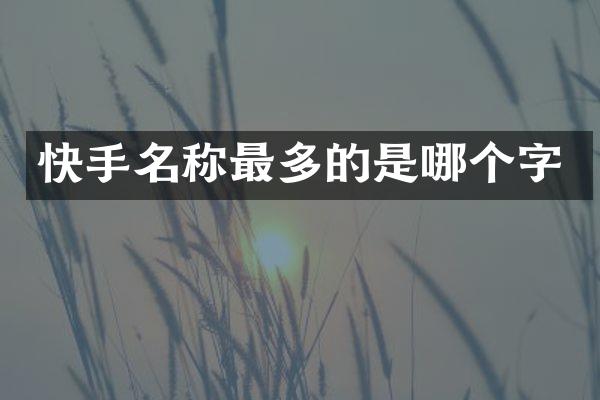 快手名称最多的是哪个字