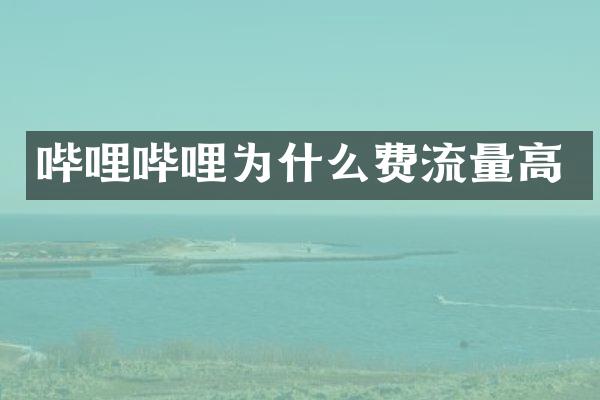 哔哩哔哩为什么费流量高