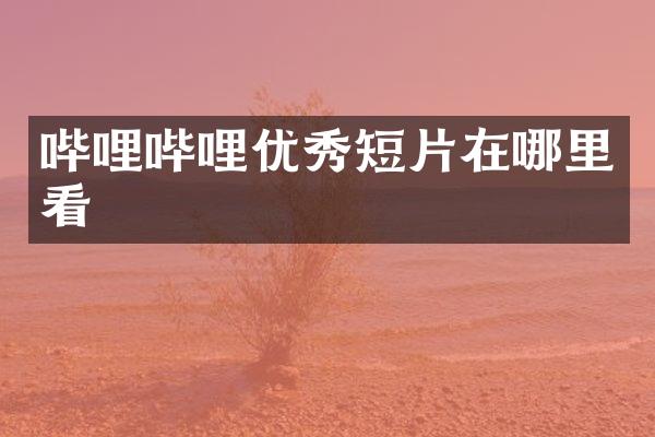 哔哩哔哩优秀短片在哪里看