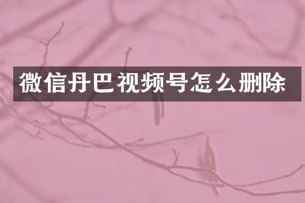 微信丹巴视频号怎么删除