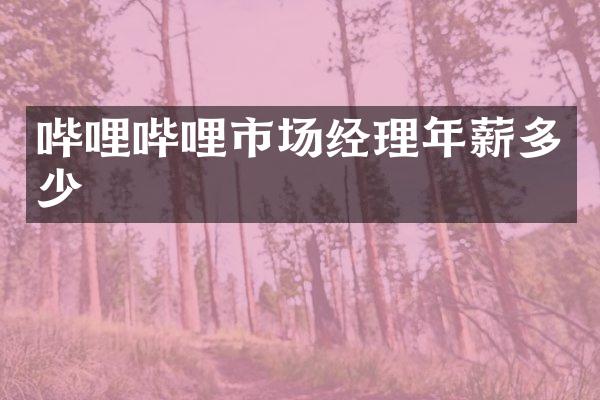 哔哩哔哩市场经理年薪多少