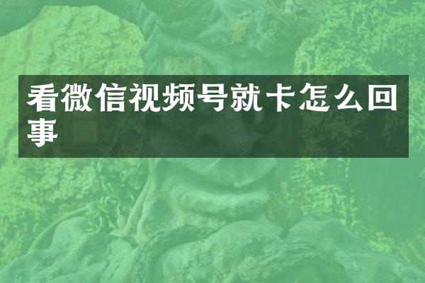 看微信视频号就卡怎么回事