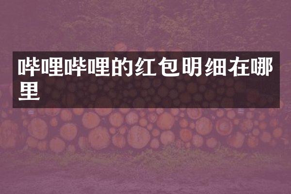哔哩哔哩的红包明细在哪里