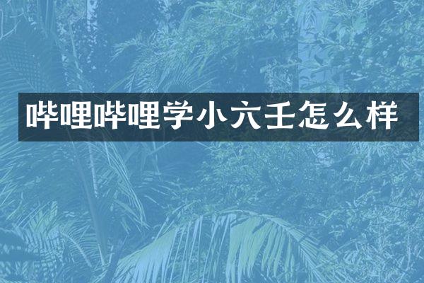 哔哩哔哩学小六壬怎么样