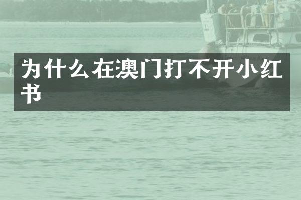 为什么在澳门打不开小红书