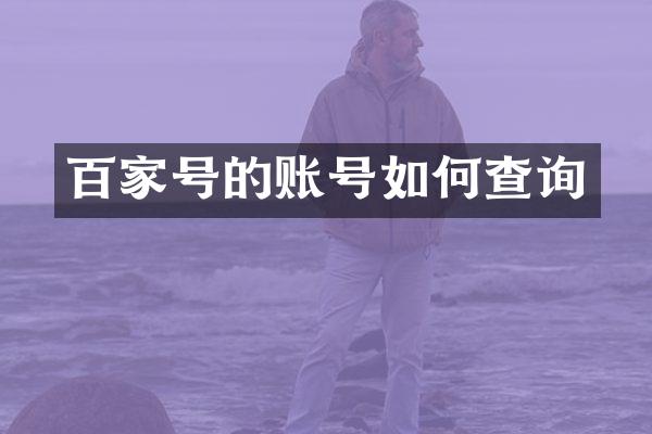 百家号的账号如何查询