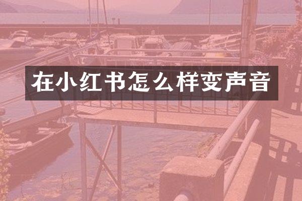 在小红书怎么样变声音