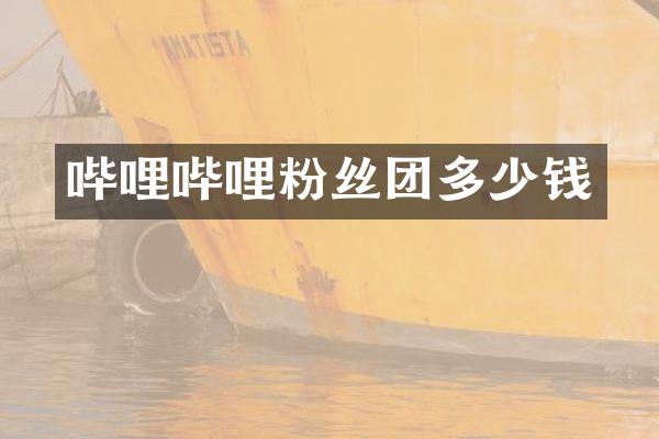 哔哩哔哩粉丝团多少钱