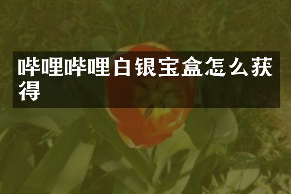 哔哩哔哩白银宝盒怎么获得