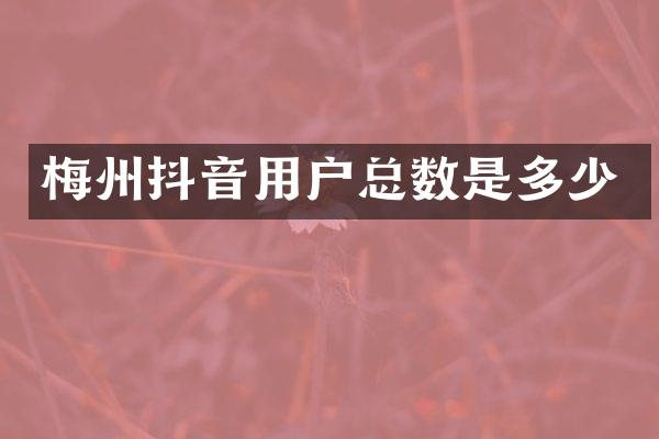 梅州抖音用户总数是多少