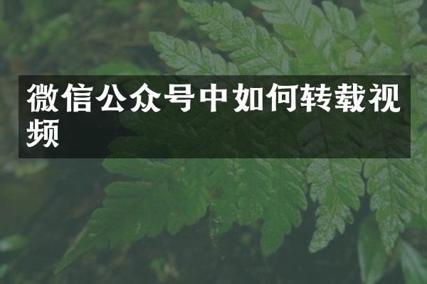 微信公众号中如何转载视频