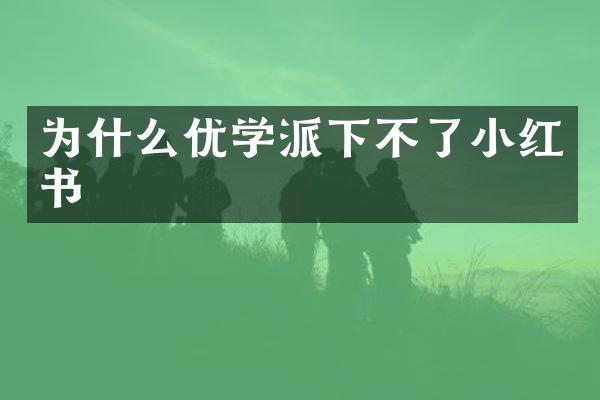 为什么优学派下不了小红书