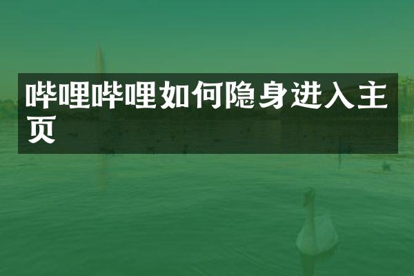 哔哩哔哩如何隐身进入主页