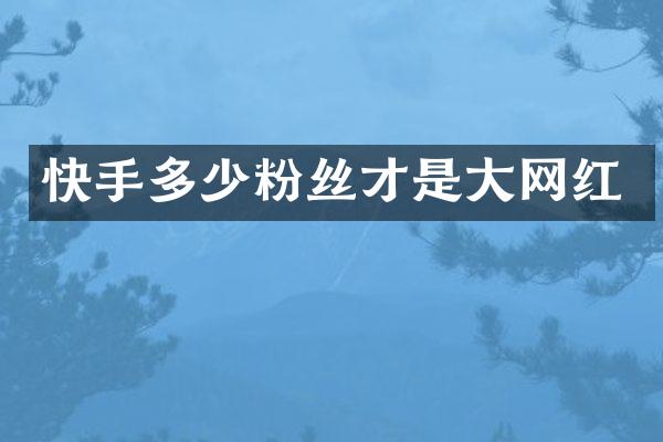 快手多少粉丝才是大网红