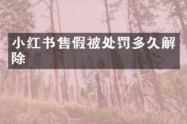 小红书被处罚多久解除