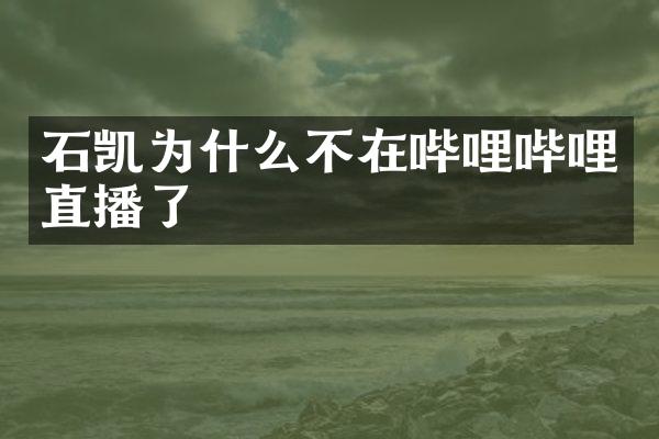 石凯为什么不在哔哩哔哩直播了