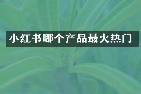 小红书哪个产品最火热门